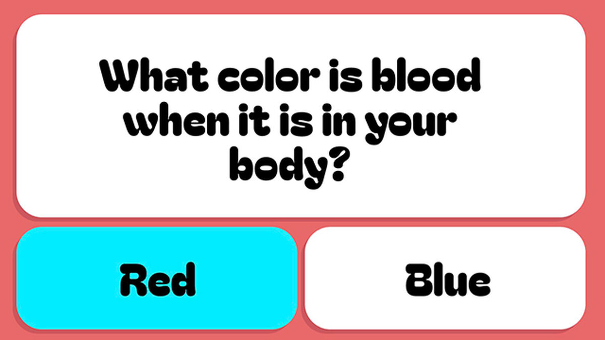Dumb Questions for Smart People - Round 2 image number null